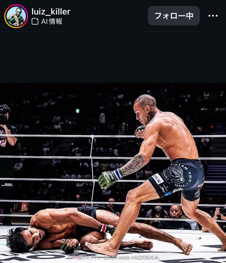 ファイトメモリー | Fight Memory tweet media