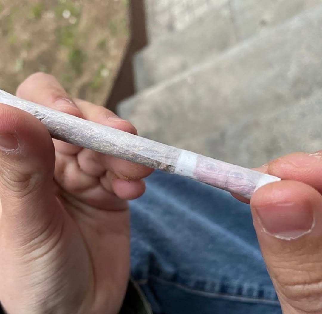 SpaceCannabis 🍃 tweet media