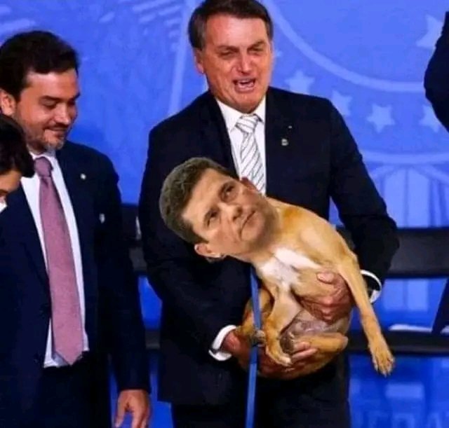 Espanta Gado 🇧🇷 🇷🇺🇨🇳🇮🇷 tweet media