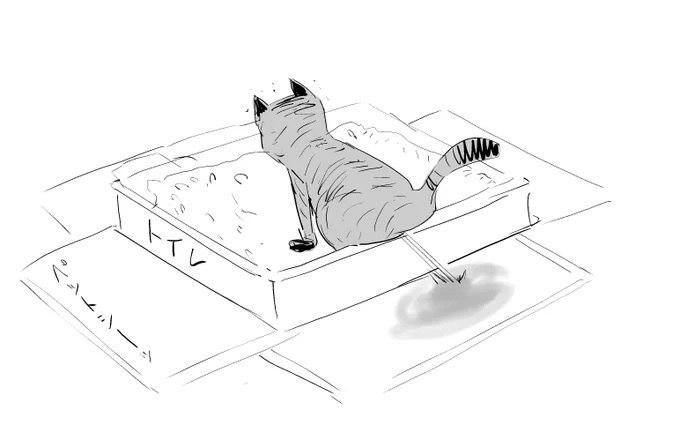 うちの猫がこうなってるのを目撃した
(トイレ注意) 