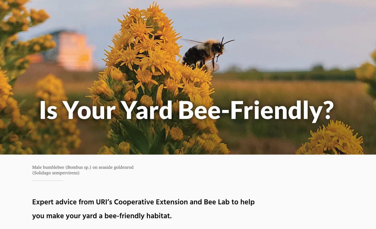 nontoxcom's tweet photo. 🐝 Bees and other pollinators are essential for maintaining healthy global ecosystems and productive food systems. With many species experiencing population decline, you can help by creating safe habitats in your own yard. https://t.co/GcAx0pops3