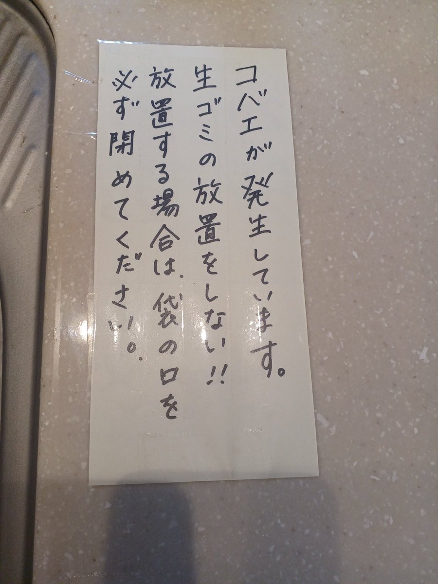 向日葵🌻(完全同居嫁) tweet media