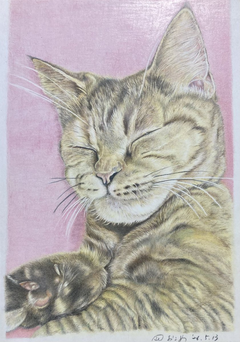 色鉛筆画