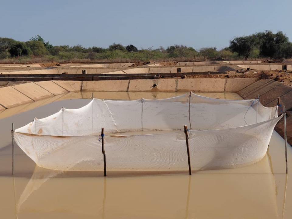 World Bank Group AgriFood tweet media