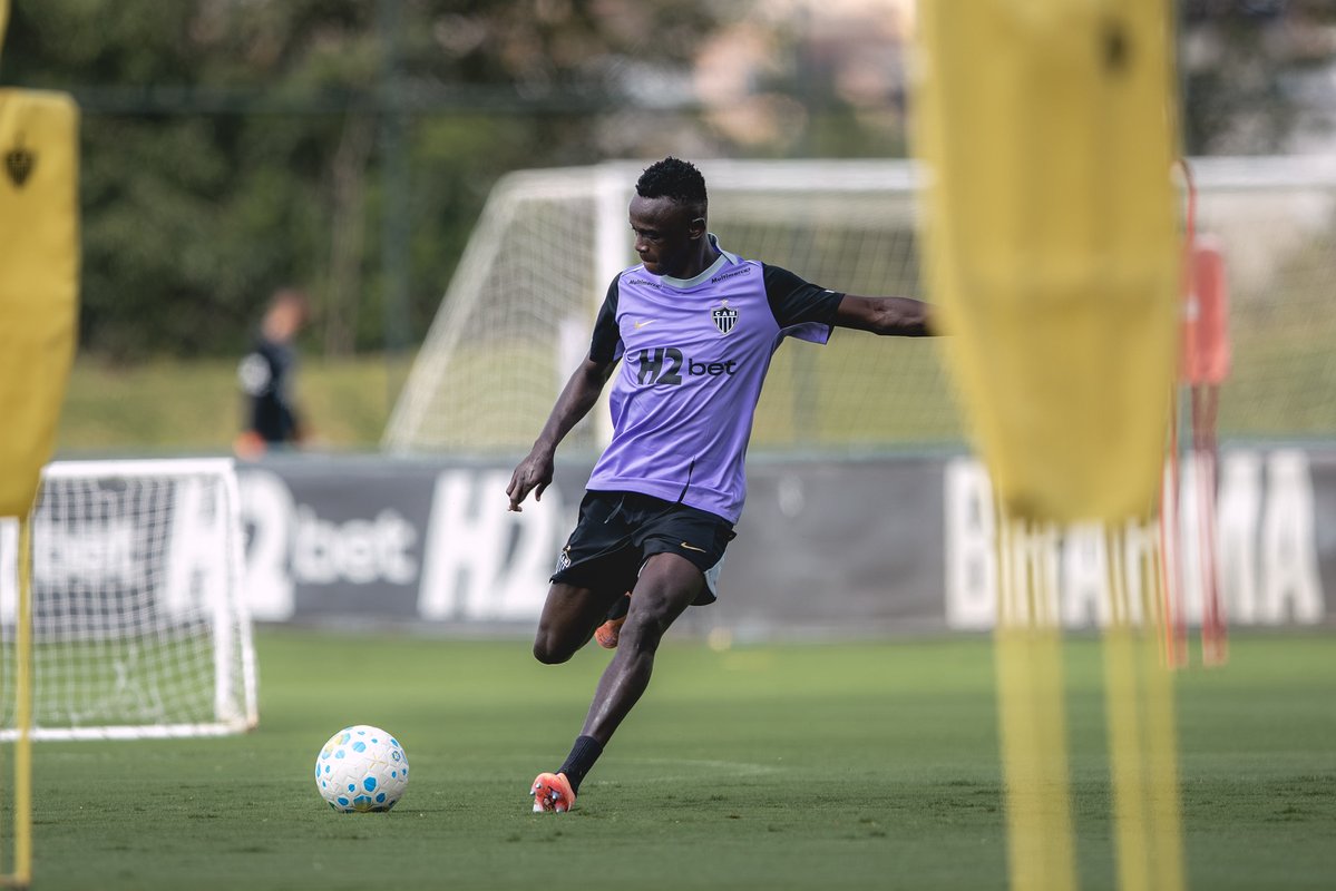 Marco Geves | BICA GALO tweet media