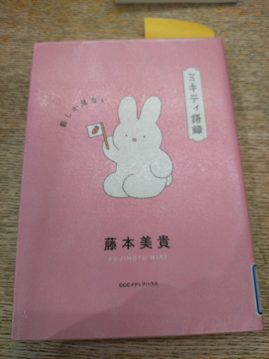読了 ミキティ語録 藤本美貴 ミキティーーーーー！って叫ばれてる