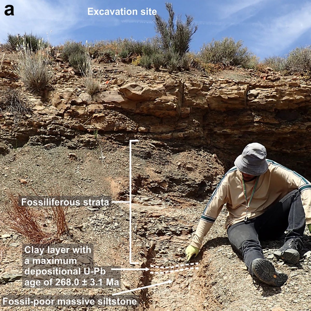PalPSSA's tweet photo. 📍 Fossil localities are more than points on a map - they are records of ancient worlds, preserved in stone.

Happy #FossilFriday!

#OnderKaroo #KarooBasin #SouthAfricanFossils #AfricanPaleontology #DeepTime #Fossils #Paleoecology #EarthHistory #Gondwana #Fieldwork https://t.co/kIL8jzfZYt
