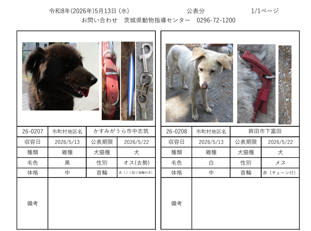 小美玉市 環境課 tweet media
