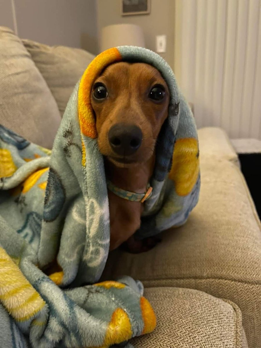 salsichinhas's tweet photo. Que frio https://t.co/Pd0LGLm4FI