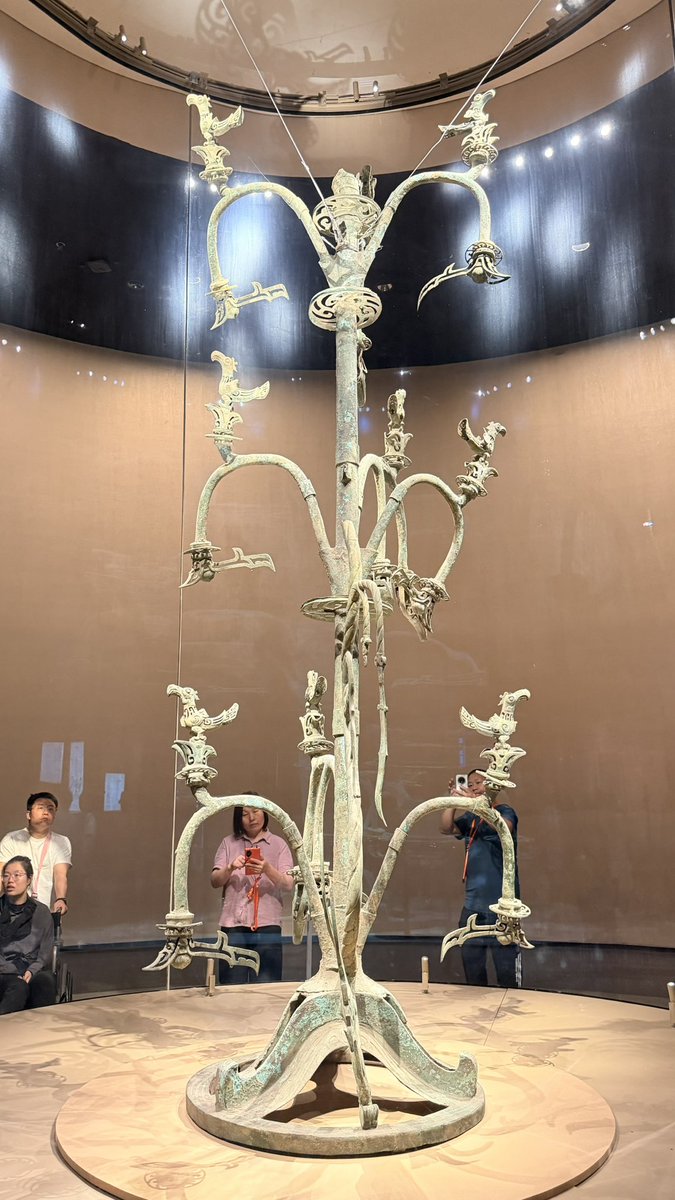 云淡淡风轻轻 tweet media