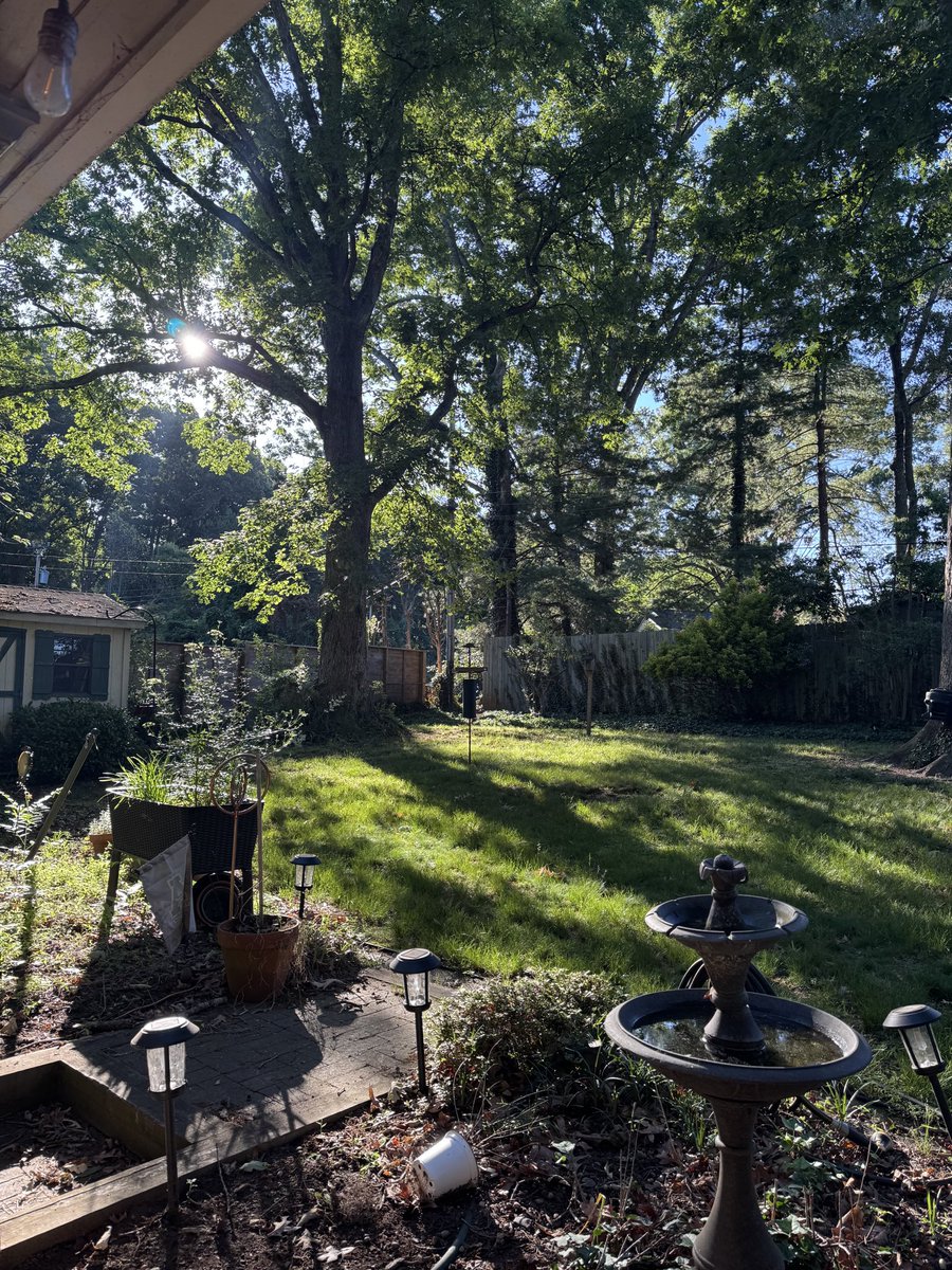 goneers's tweet photo. Such a beautiful morning. I’m going to miss it when I have to move. https://t.co/CMIGsUsSBn