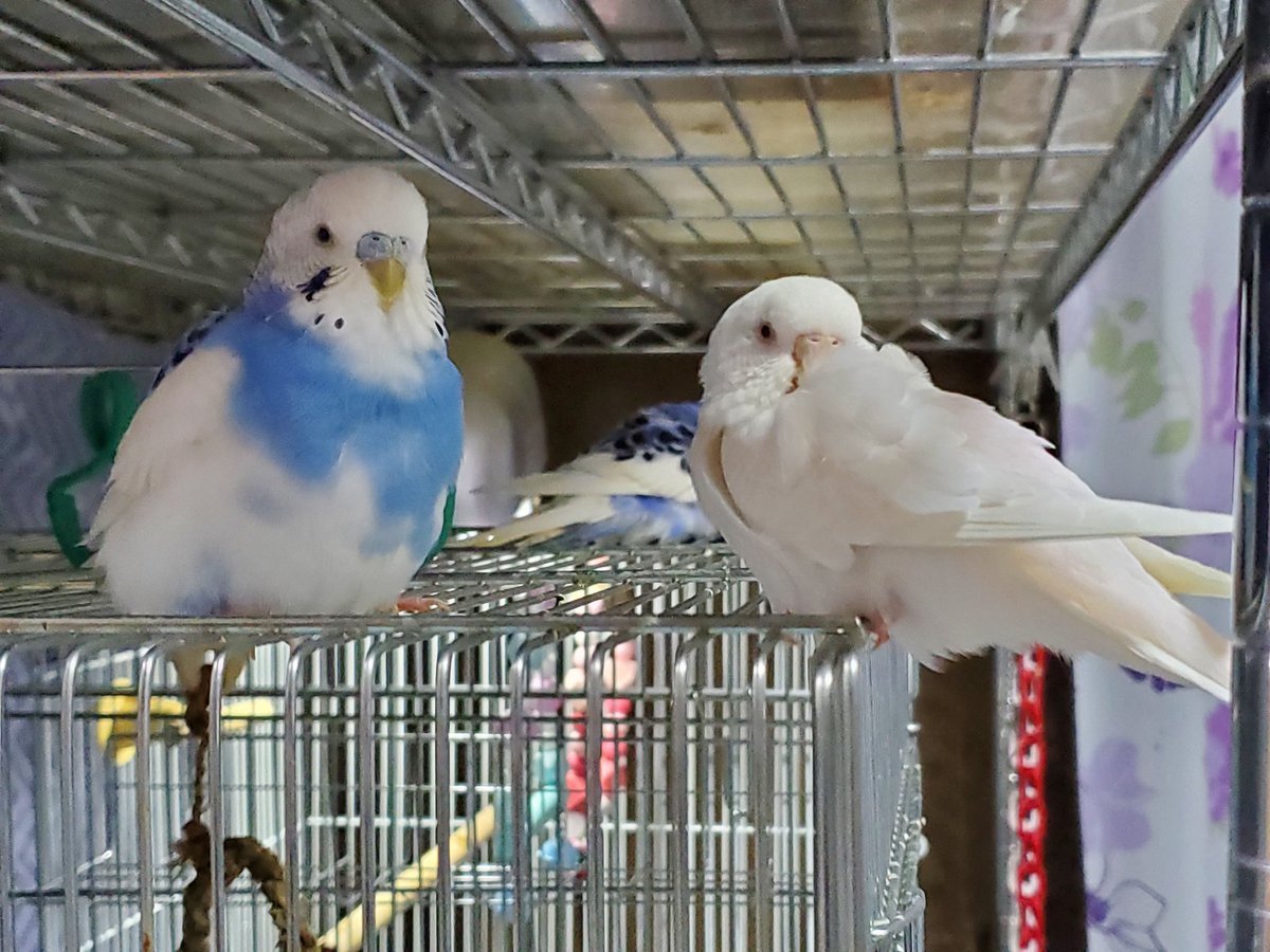 でじ。 tweet media