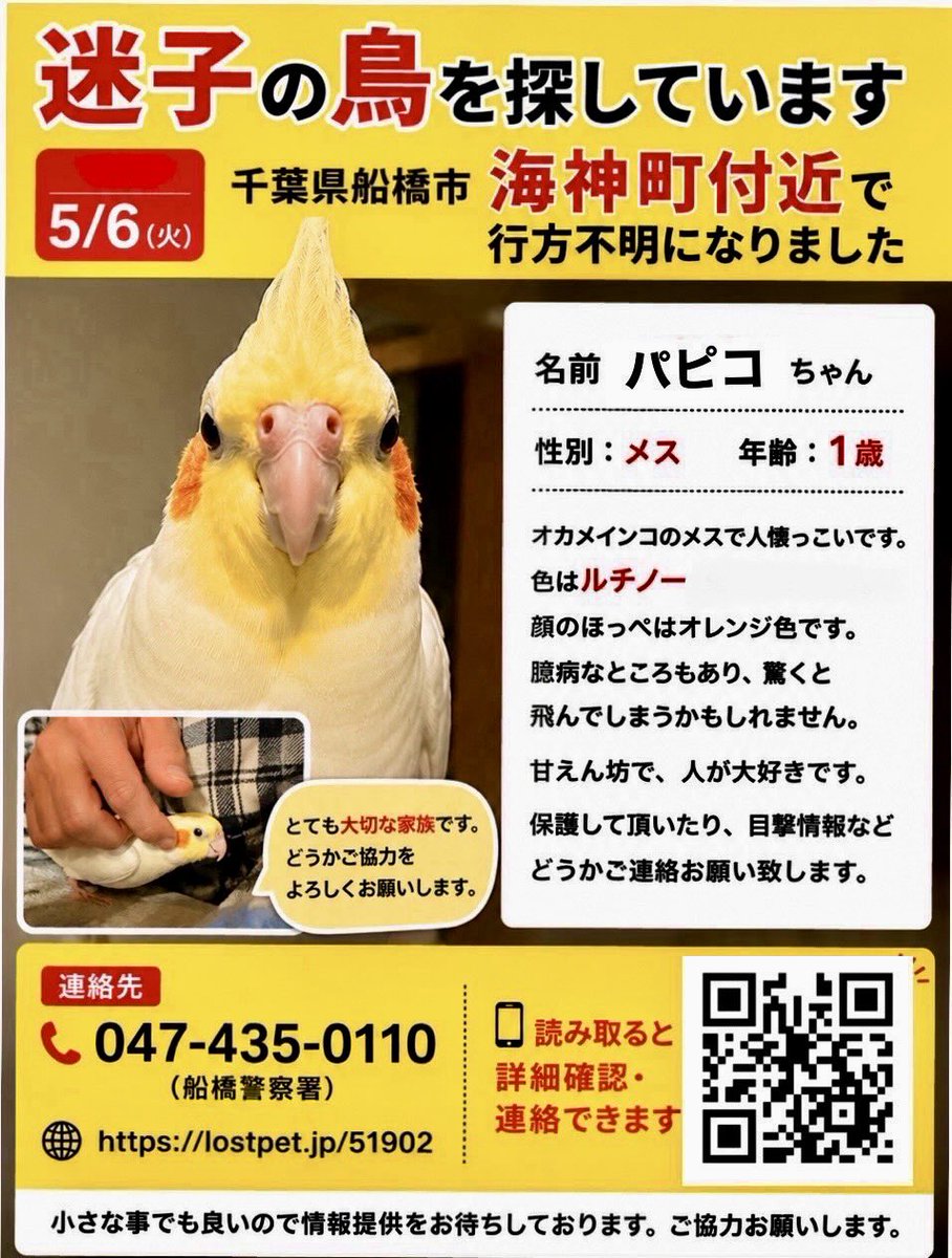 みいた tweet media