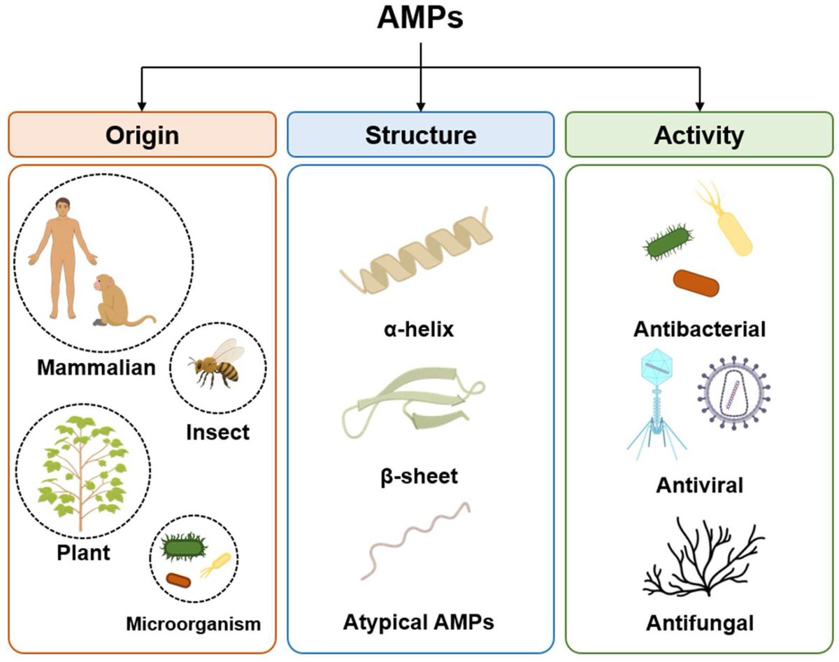 Microorganisms MDPI tweet media