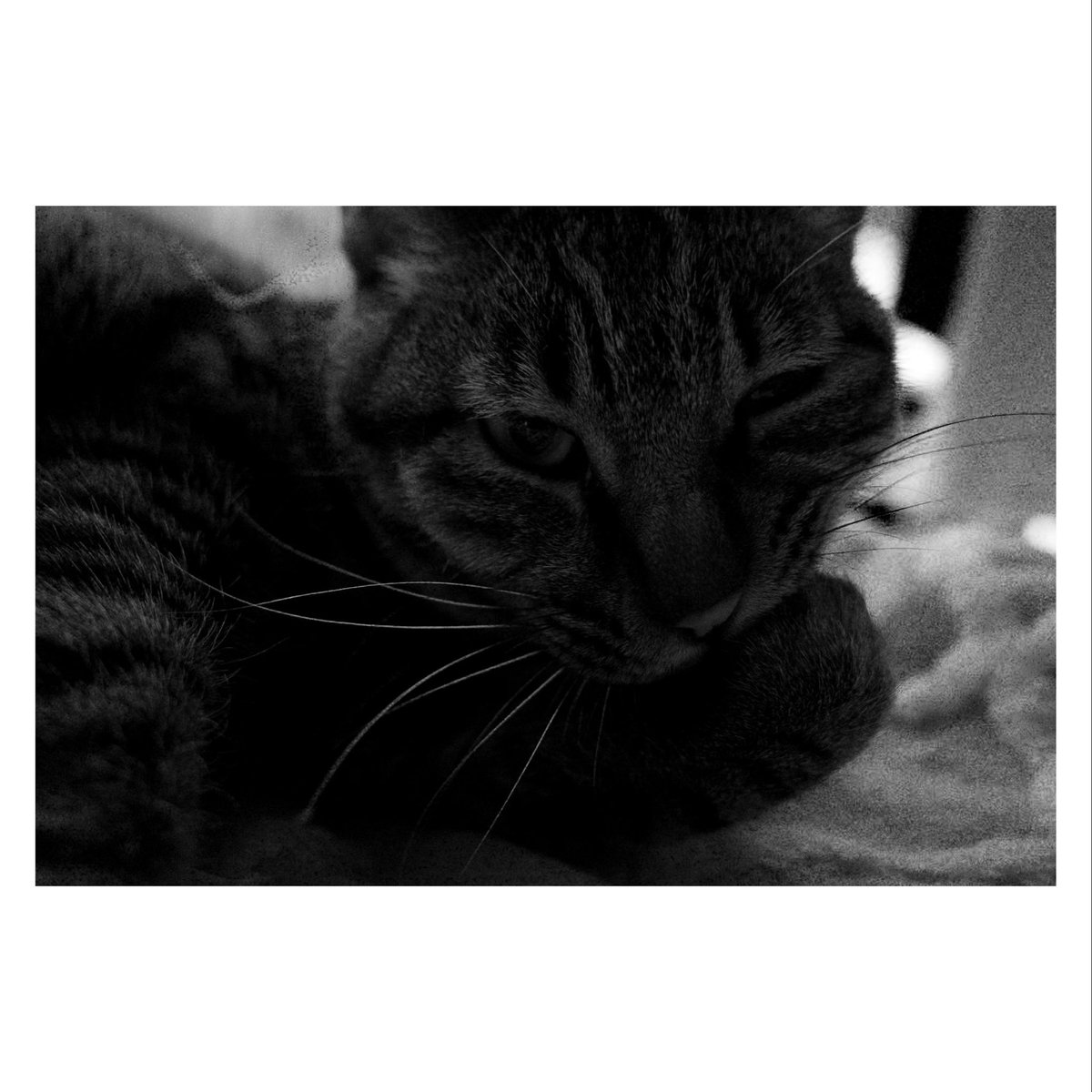 KilyCs's tweet photo. I miss you. https://t.co/OymFmSx0KY
