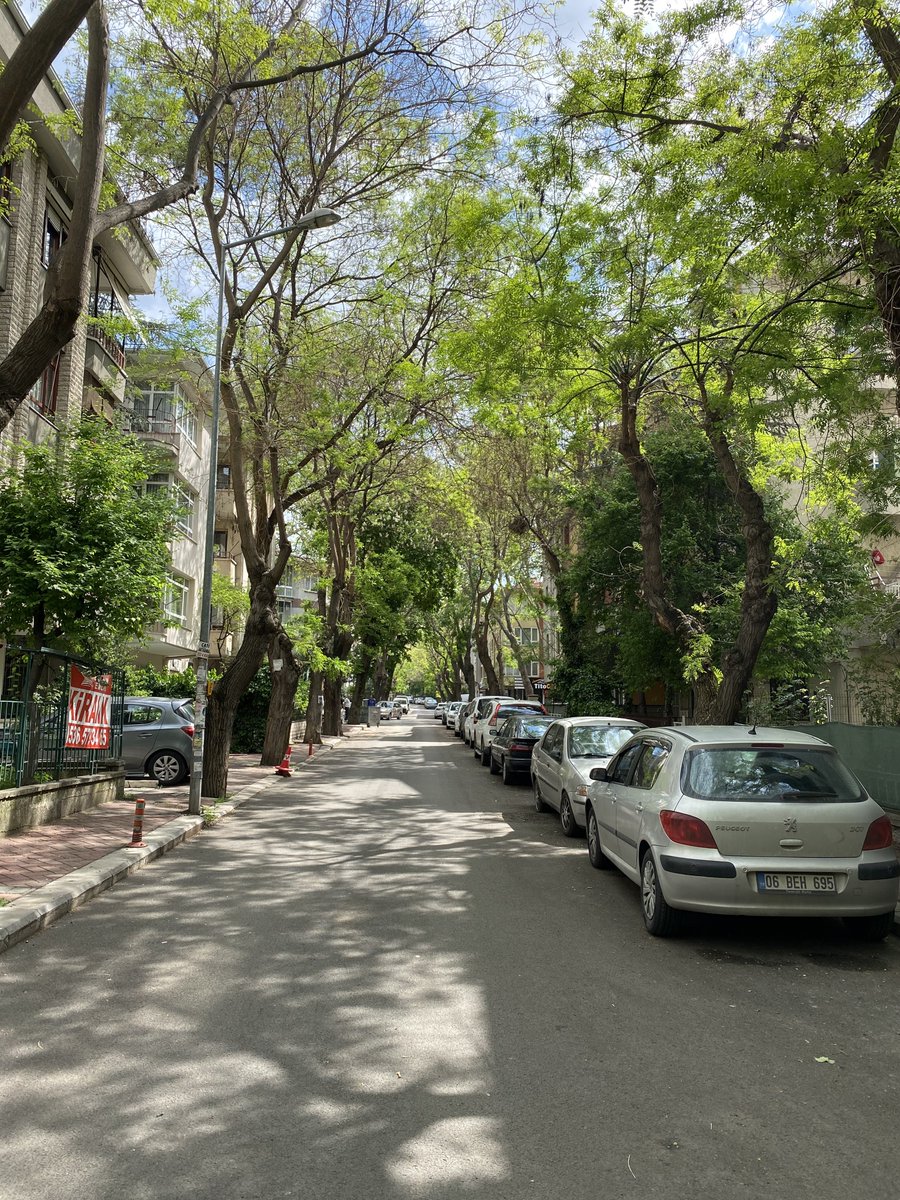 gokhanse90's tweet photo. emek’in güzel sokakları https://t.co/CjIijz1Svo