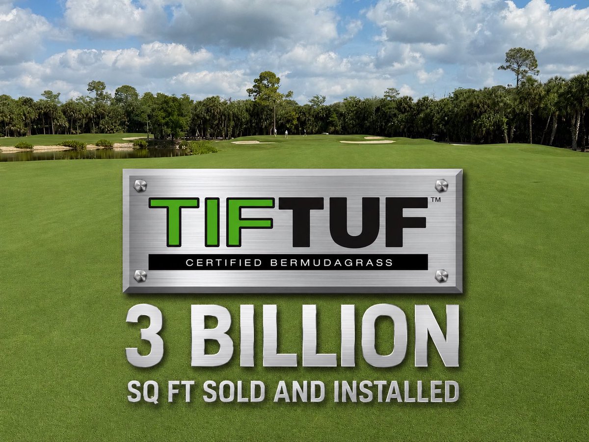 TifTufTurfgrass's tweet photo. Big milestone: 
⭐️Over 3 billion sq ft TifTuf bermudagrass sold and installed.
#home #golf #sports #droughttolerant #water #bestlawn https://t.co/2epX6Na7xJ