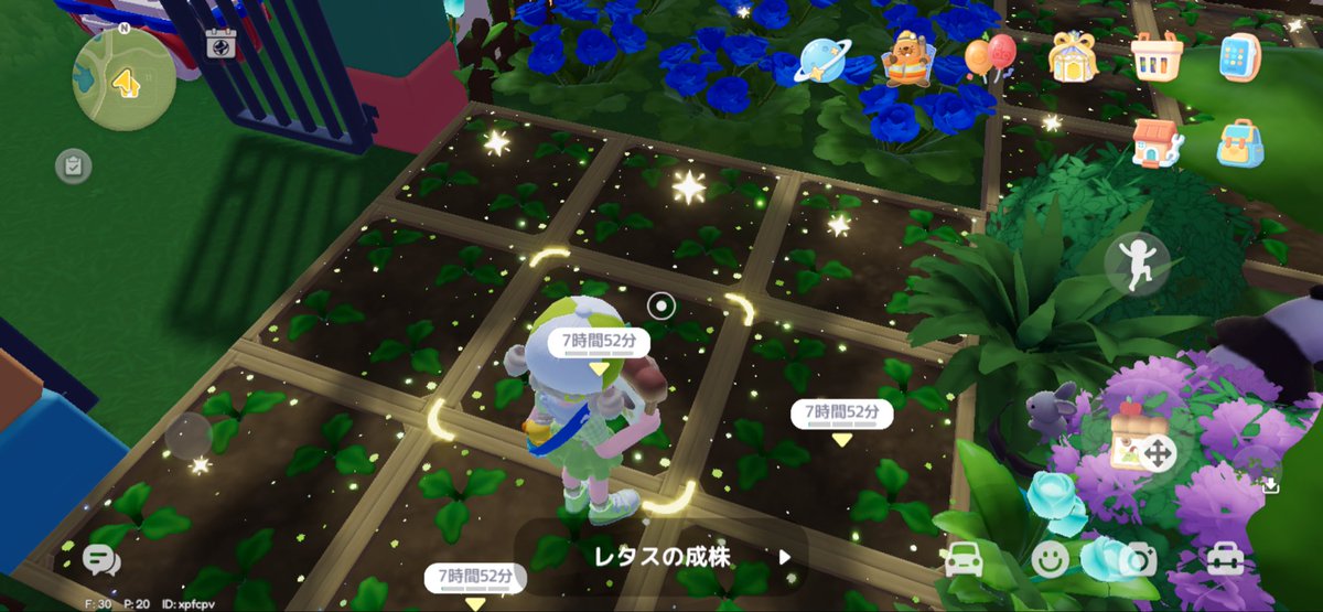 まりも。 tweet media