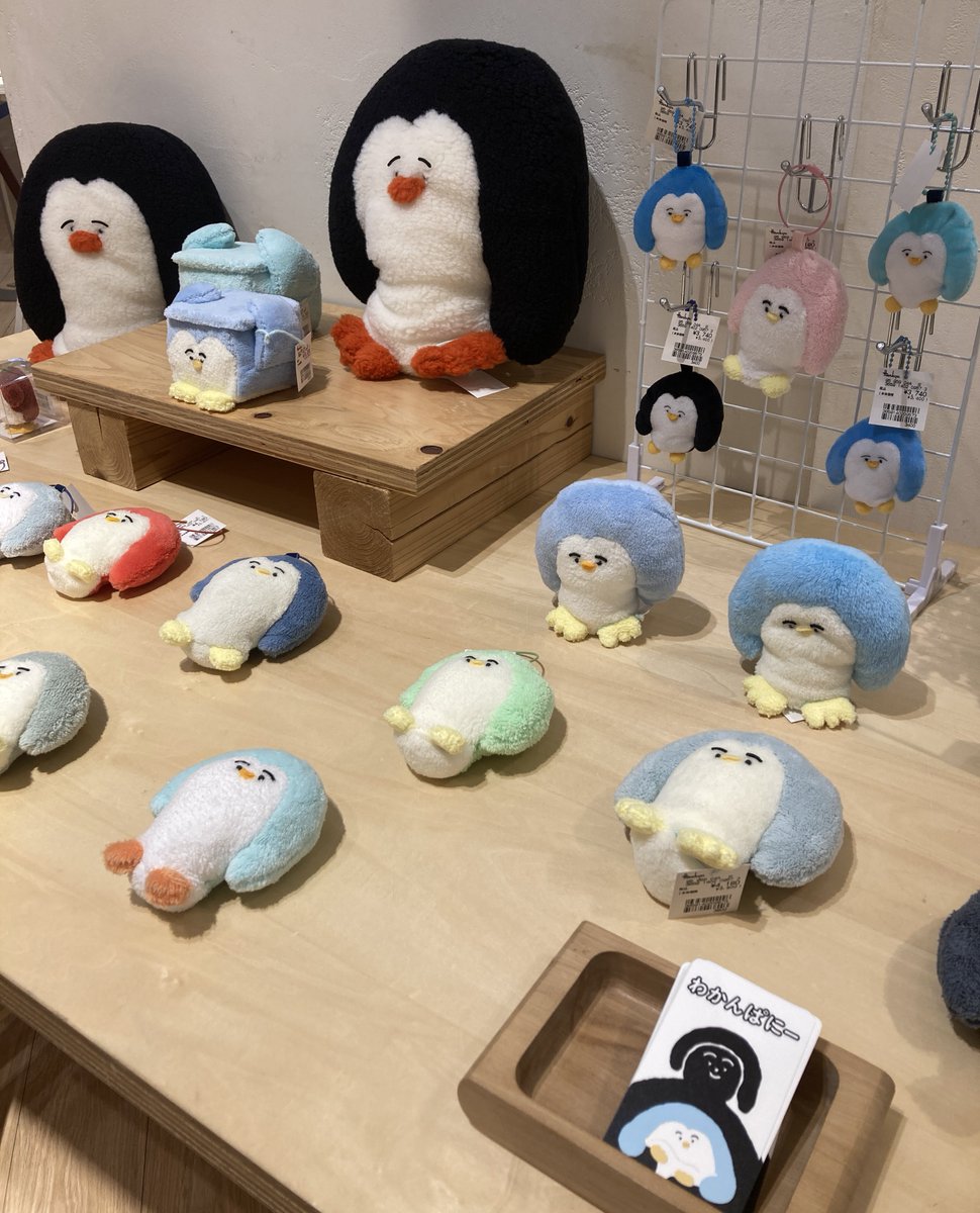 わかんぱにー☺︎ (@wkn8) / Posts / X