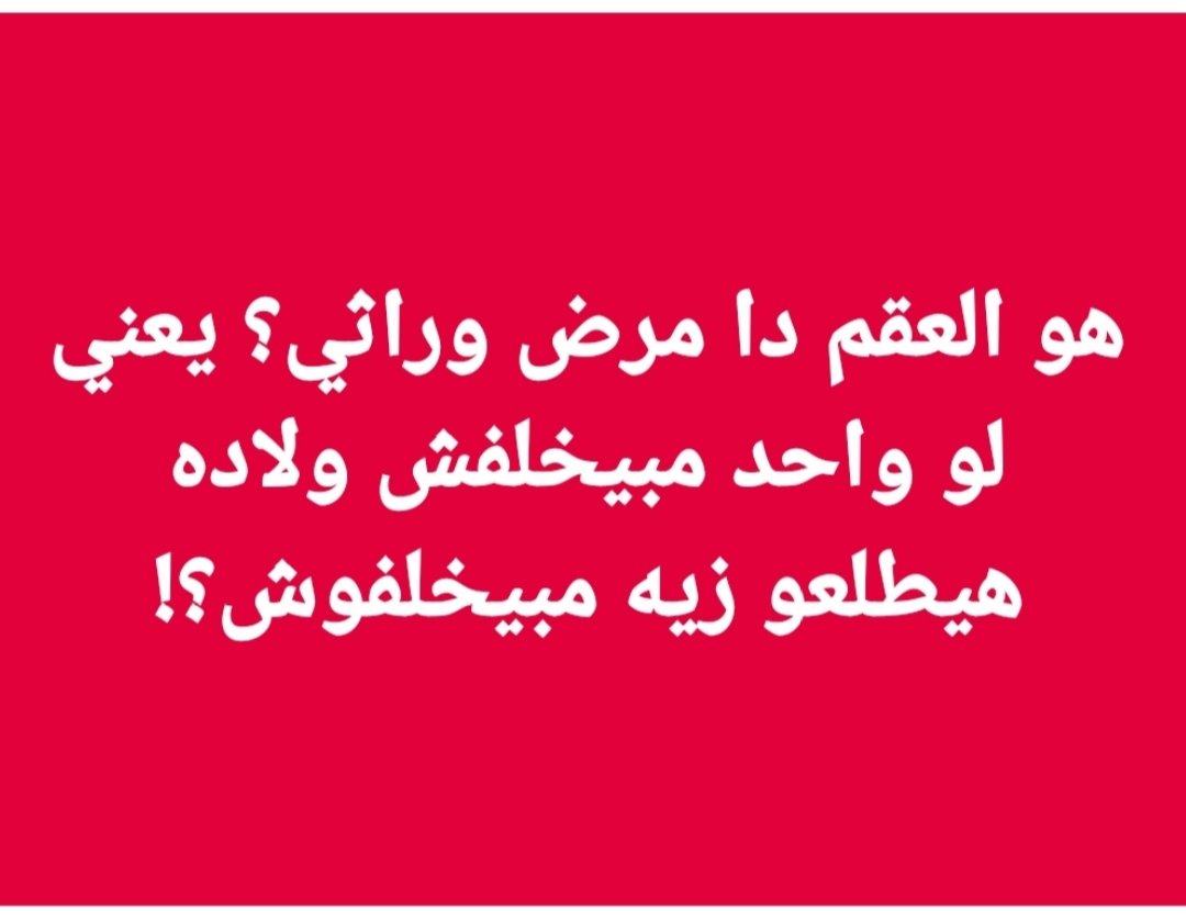ألو أنا القطة tweet media