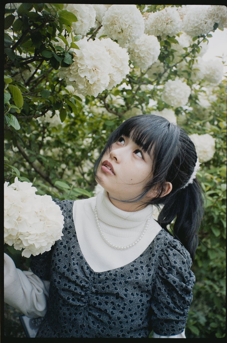 kishiyoshi's tweet photo. #contaxt2 #kodak #kodakportra160
#ナツラボ @r1n0x_21 @RARE___photo https://t.co/5T1q5rfcHR