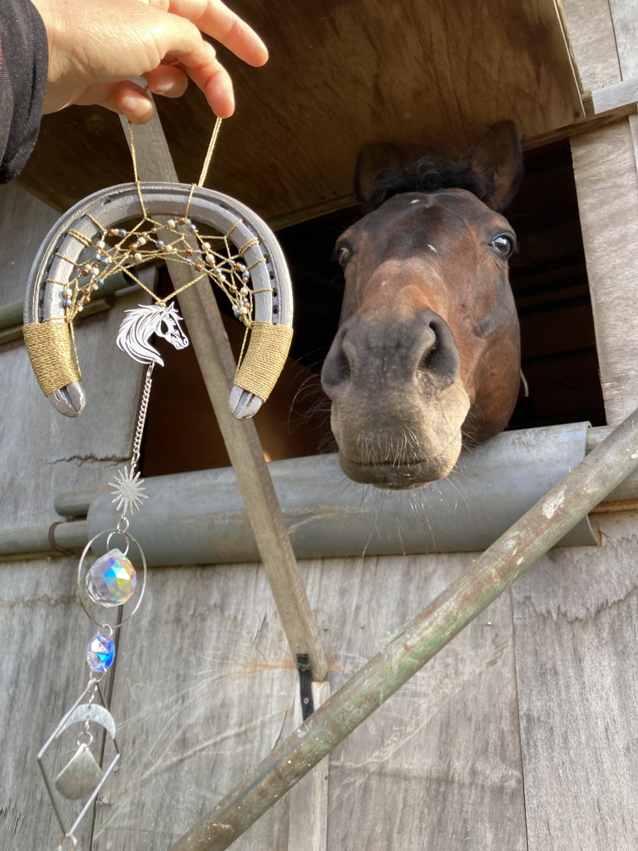 にまるる🐴使用済み蹄鉄リメイク作家 tweet media