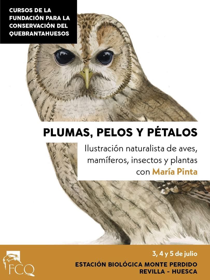 Fundación_Quebrantahuesos tweet media