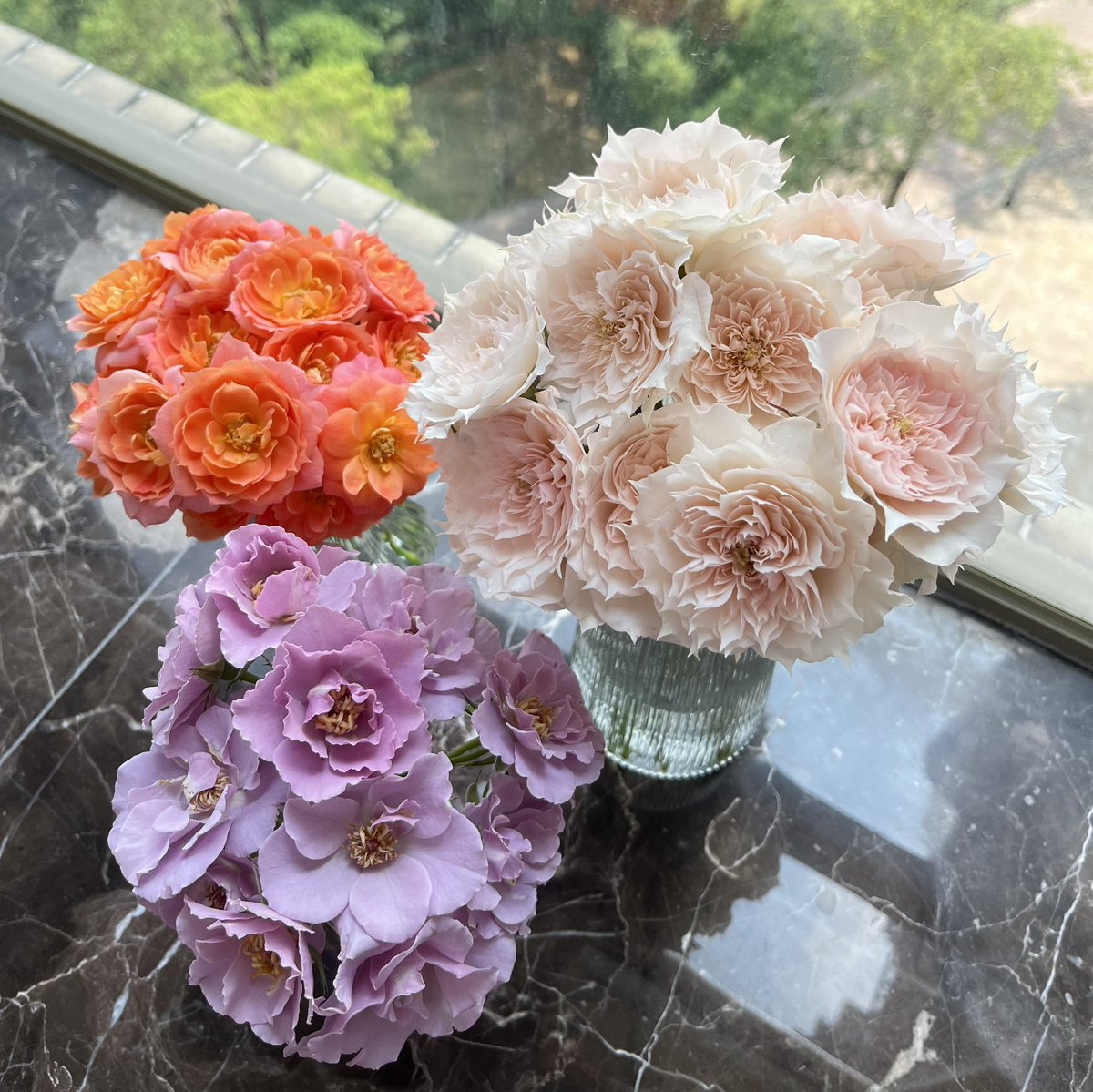 fakeprettyqq's tweet photo. 仍然会期待终有一天荔枝也会收到塞满一冰箱的鲜切花💐 https://t.co/rRD4ECzIGd