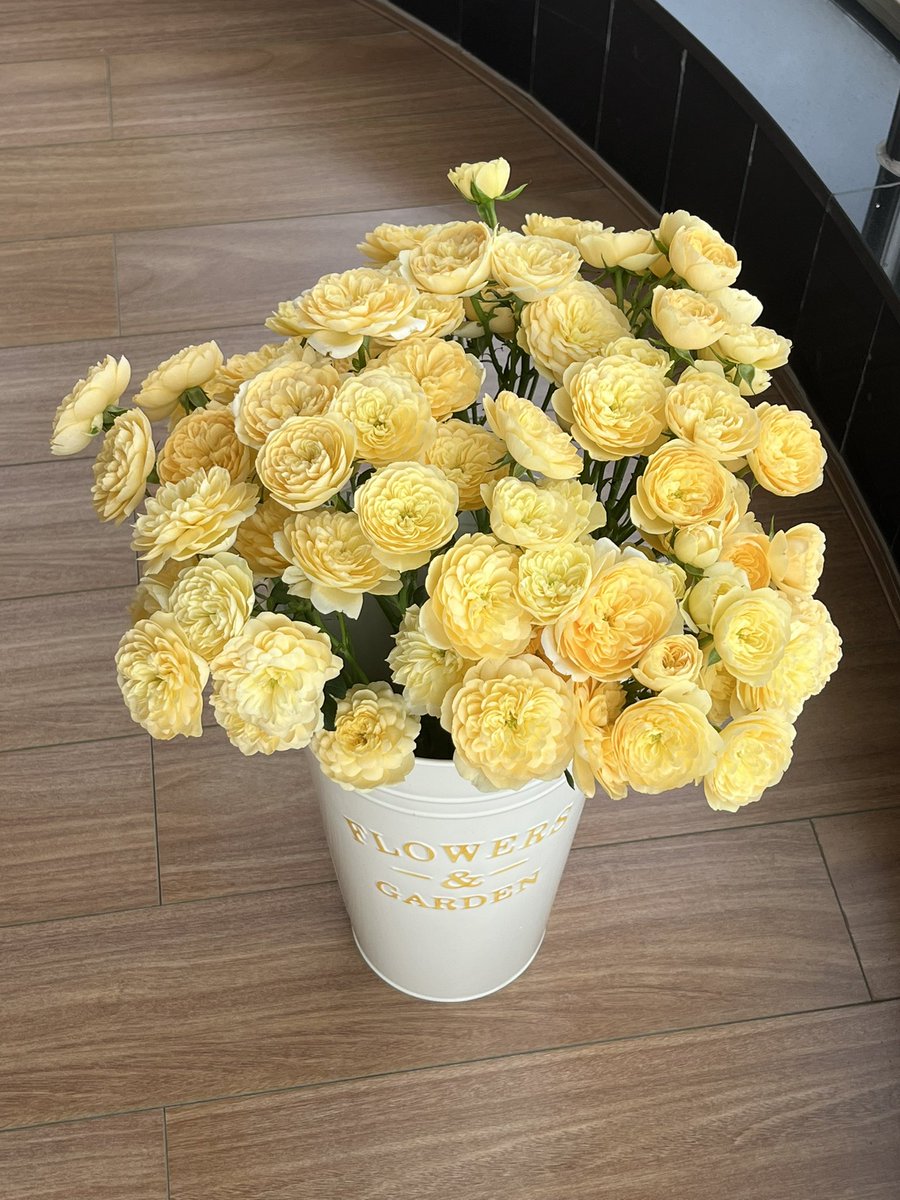 fakeprettyqq's tweet photo. 仍然会期待终有一天荔枝也会收到塞满一冰箱的鲜切花💐 https://t.co/rRD4ECzIGd