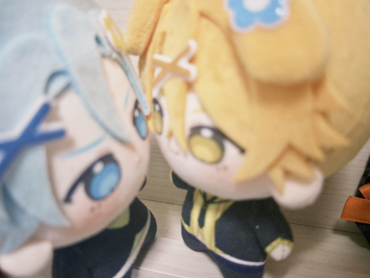 あまね🌻⸝⸝꙳ tweet media