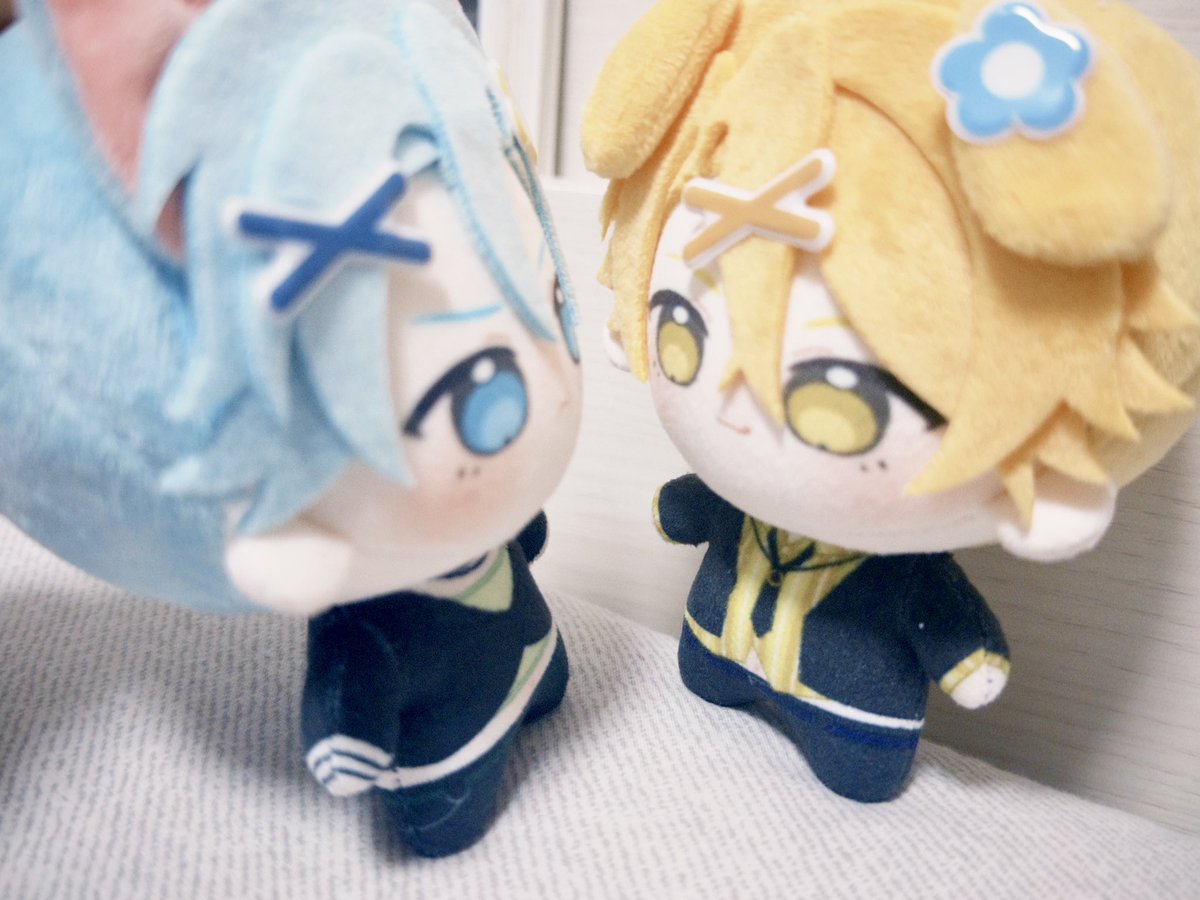 あまね🌻⸝⸝꙳ tweet media
