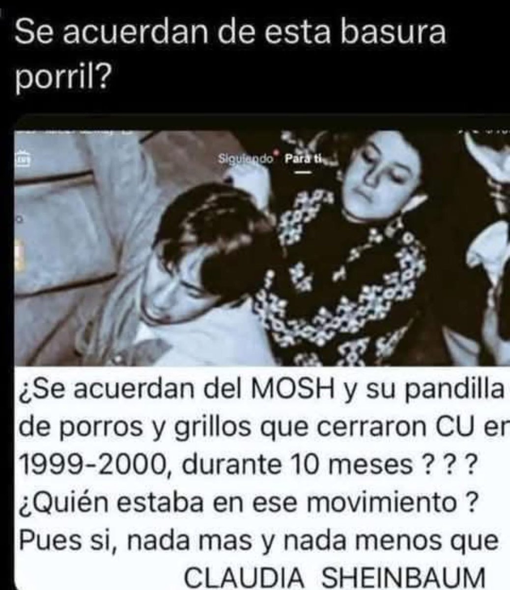 Peregrino tweet media