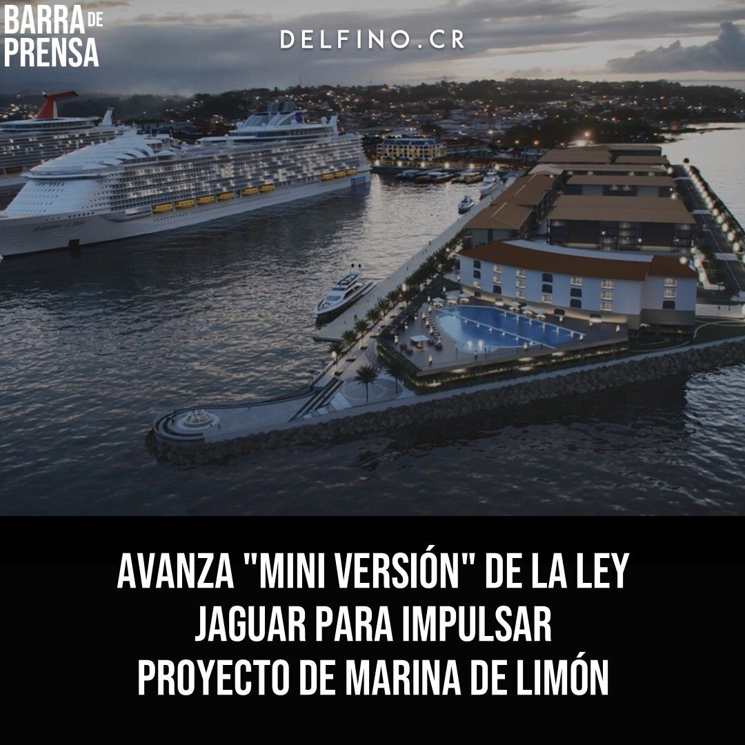 Delfino.CR tweet media