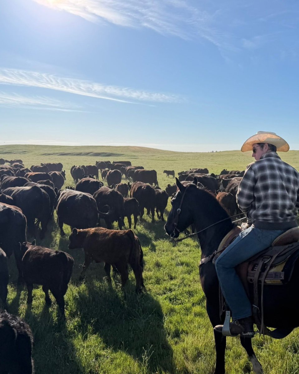 txbargrassfed's tweet photo. The office, around 7am 🤠 https://t.co/eHvxNeTuXw