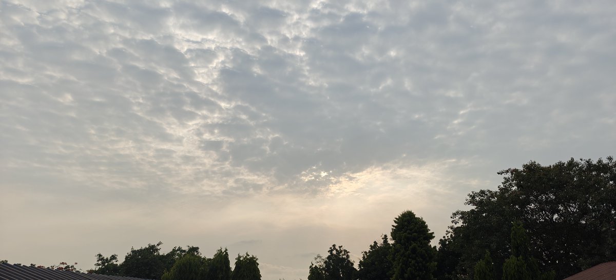 shetty_athreya's tweet photo. Winds of W̶I̶N̶T̶E̶R̶ CHANGE 🌥️
#NaviMumbai #NatureSignals https://t.co/gu7aWmXpMY