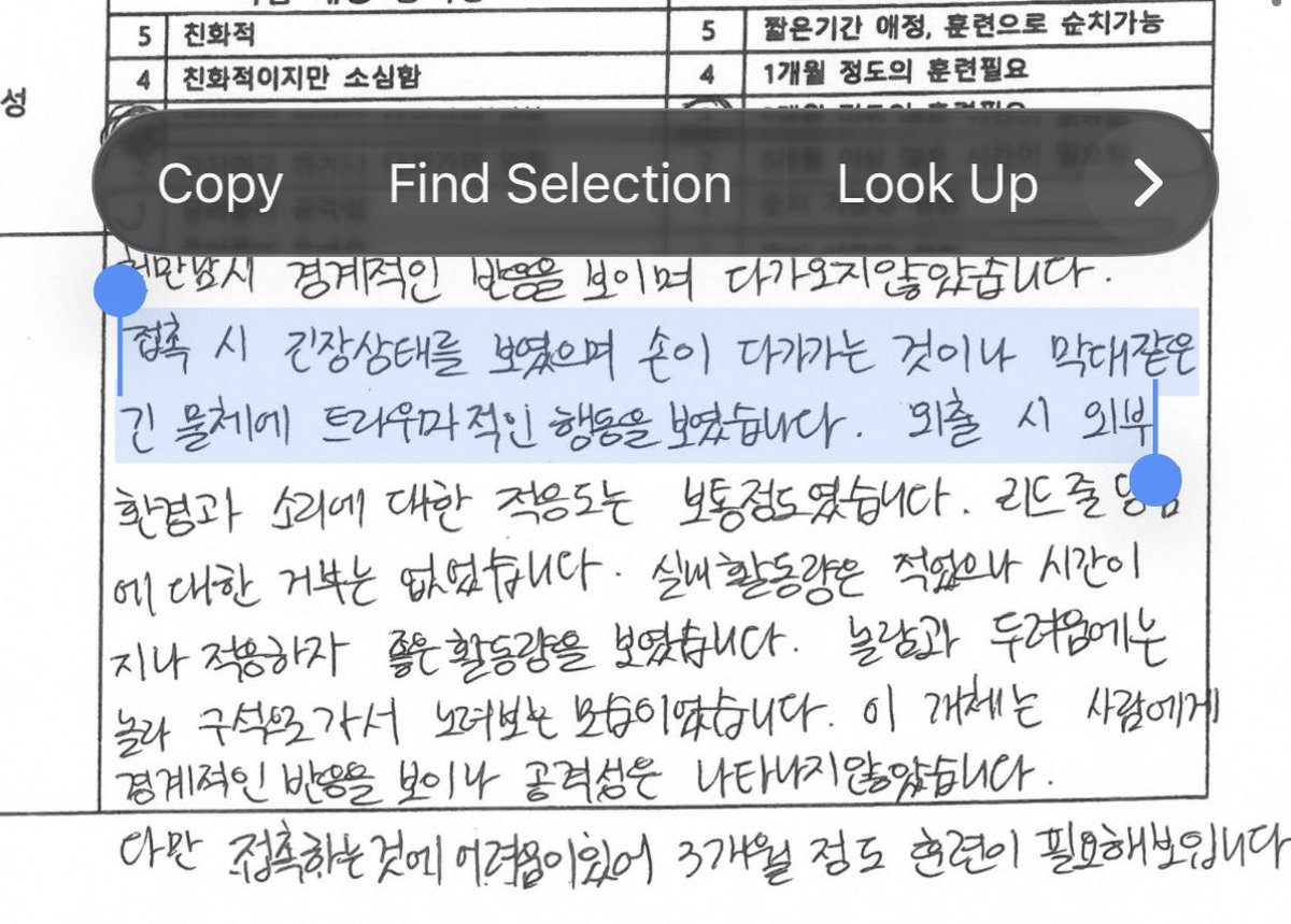 이브 밥맥이는 계정 tweet media