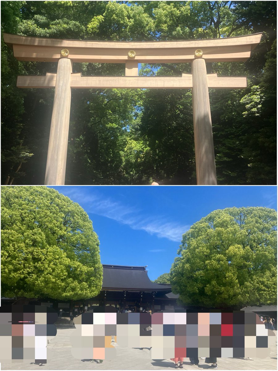konitsubaki's tweet photo. 先日は沢山歩こうと明治神宮へ⛩天気良き☀️
そして今更ながら初めてのI'm donut?を食べました🍩しっとりしててｵｲｼｵｲｼ😋

その後はIKEAとか宮下公園を散歩したりと、関東に引っ越してから出歩いてないリアル兄を連れ回しました🥹有酸素運動な1日🚶🏻‍♀️💨 https://t.co/8obqMTqpy6
