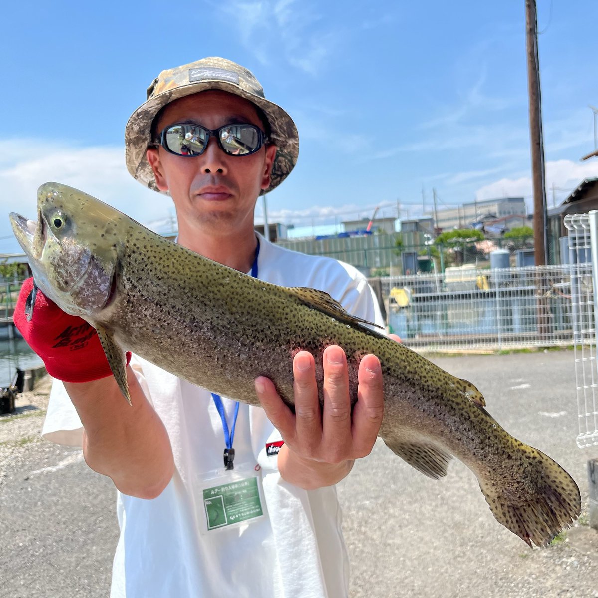 TSURIBORIBENTEN's tweet photo. 本日もご来場ありがとうございました🙇‍♂️

大型放流に相まって午前から大型の回遊がどの釣り座でも見られサイトグラインド共に大型HIT‼️

惜しくも大型の富士の介をバラしてしまうお客様も、、

夕方から雨でしたが、ナイターには雨も止み
レギュラー、大型どちらも釣れていてグットコンディション👌

ヤシオマス、富士の介のヒット率も好調の様子でした🐟

明日もお待ちしております🙇‍♂️