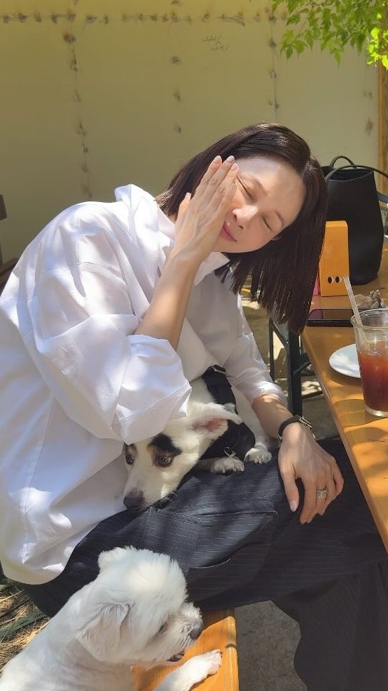 아이비알계(알러뷰계정) tweet media