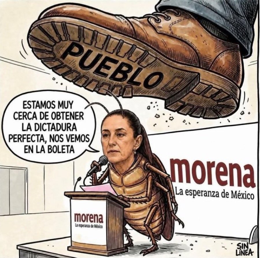 Peregrino tweet media