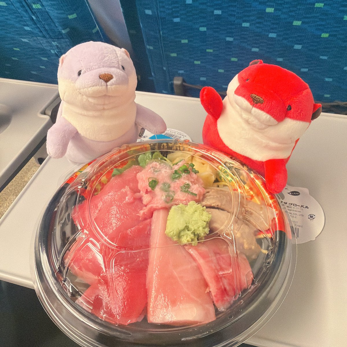 せい🐨 tweet media