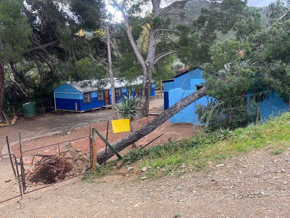 _ArriveAlive's tweet photo. How can we limit the damage caused by strong winds to our homes?

https://t.co/BdirE0go9i

#ArriveAlive #WindDamage #InsuranceChat https://t.co/TJDhsXZgYU