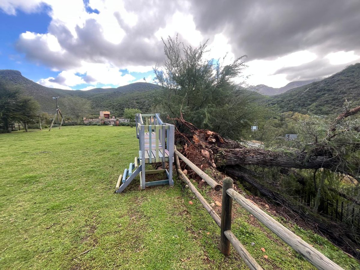 _ArriveAlive's tweet photo. How can we limit the damage caused by strong winds to our homes?

https://t.co/BdirE0go9i

#ArriveAlive #WindDamage #InsuranceChat https://t.co/TJDhsXZgYU