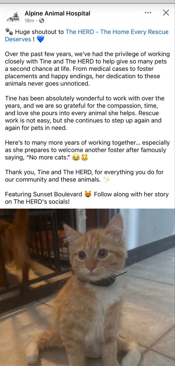 THE HERD HOUSE tweet media