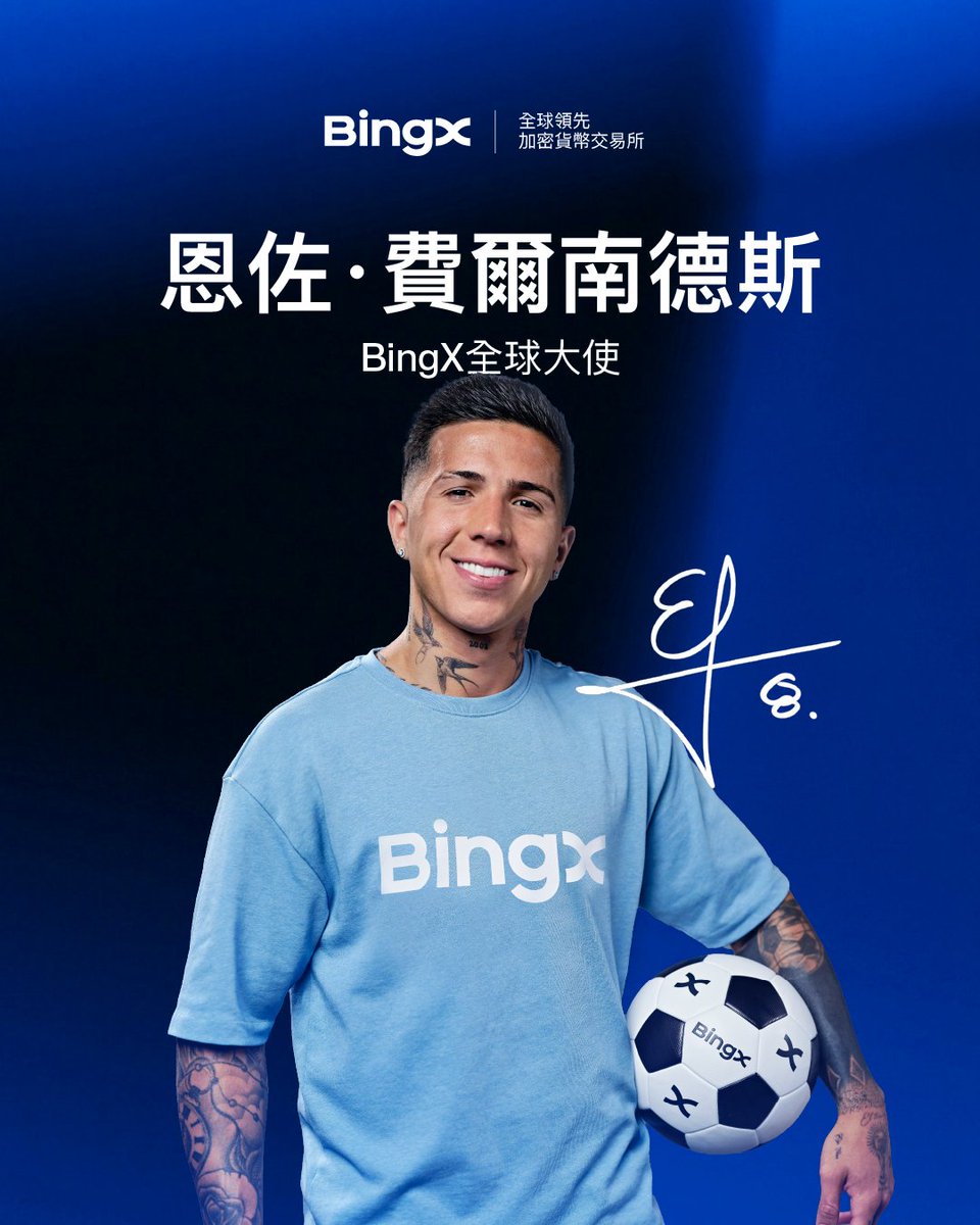 BingX 繁體中文 tweet media