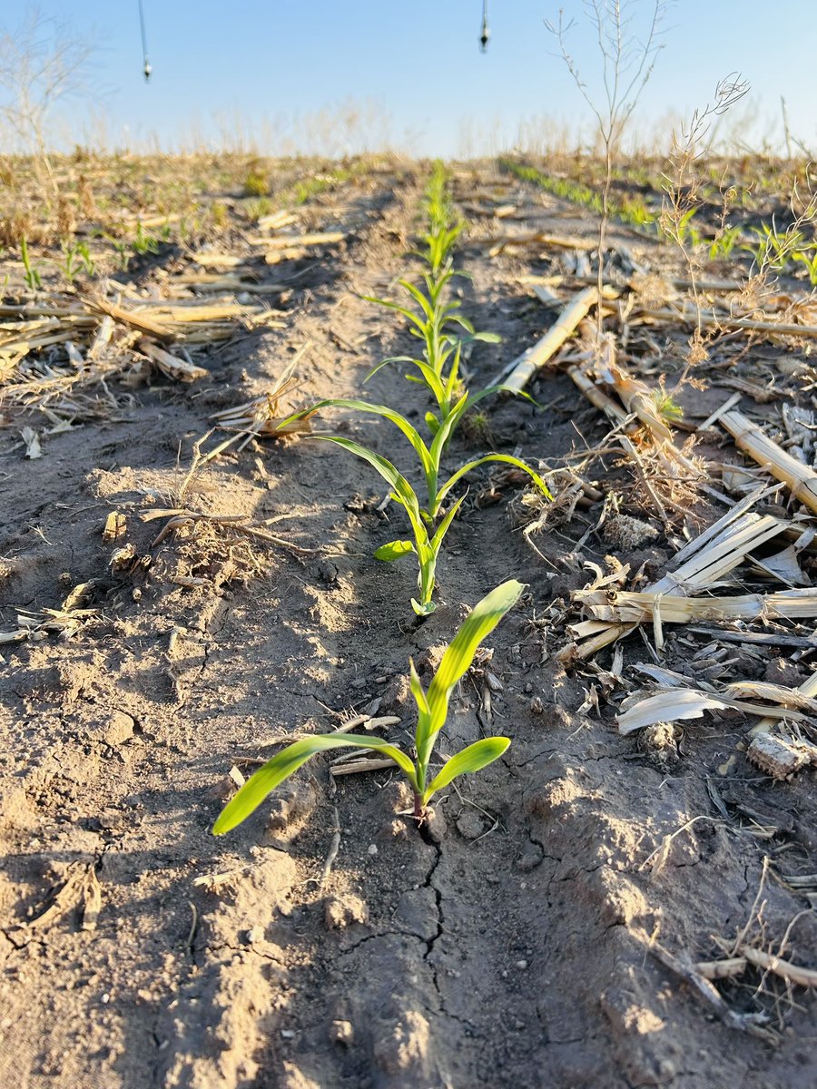 AgVenture High Plains ®️ tweet media