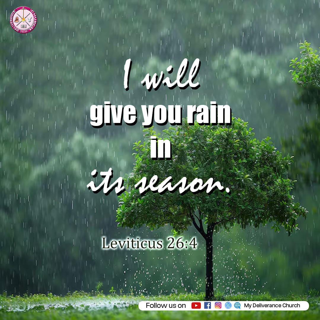 MyDeliveranceCh's tweet photo. I will give you rain in its season. Leviticus 26:4 #deliverancechurch #revjoshua #RainInSeason #GodProvides #Faith #BibleVerse #ChristianLife #BlessingsOfGod #TrustGod #HarvestTime #Provision #GodIsFaithful #Abundance #HopeInGod #DivineFavor #FruitfulSeason https://t.co/FNRhfqcEGK