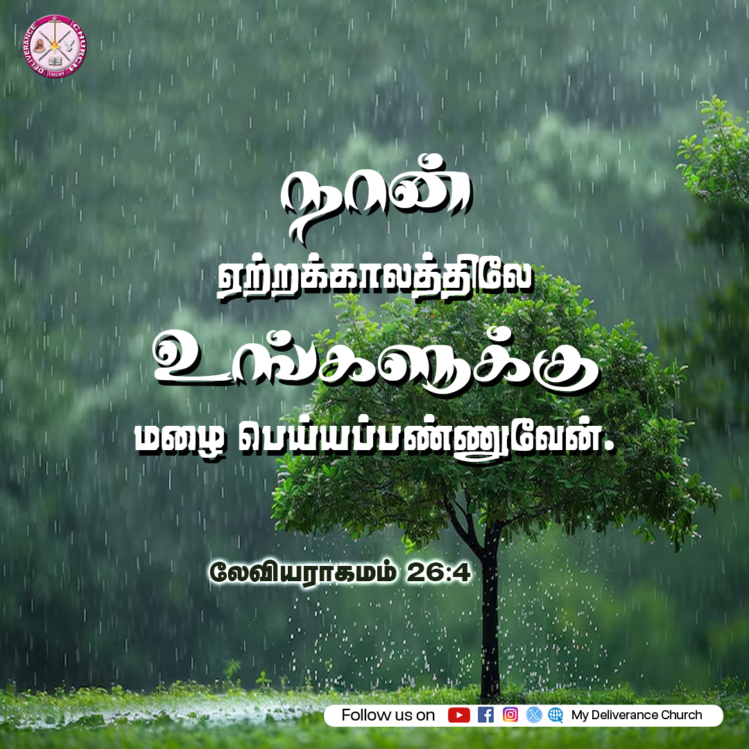 MyDeliveranceCh's tweet photo. I will give you rain in its season. Leviticus 26:4 #deliverancechurch #revjoshua #RainInSeason #GodProvides #Faith #BibleVerse #ChristianLife #BlessingsOfGod #TrustGod #HarvestTime #Provision #GodIsFaithful #Abundance #HopeInGod #DivineFavor #FruitfulSeason https://t.co/FNRhfqcEGK