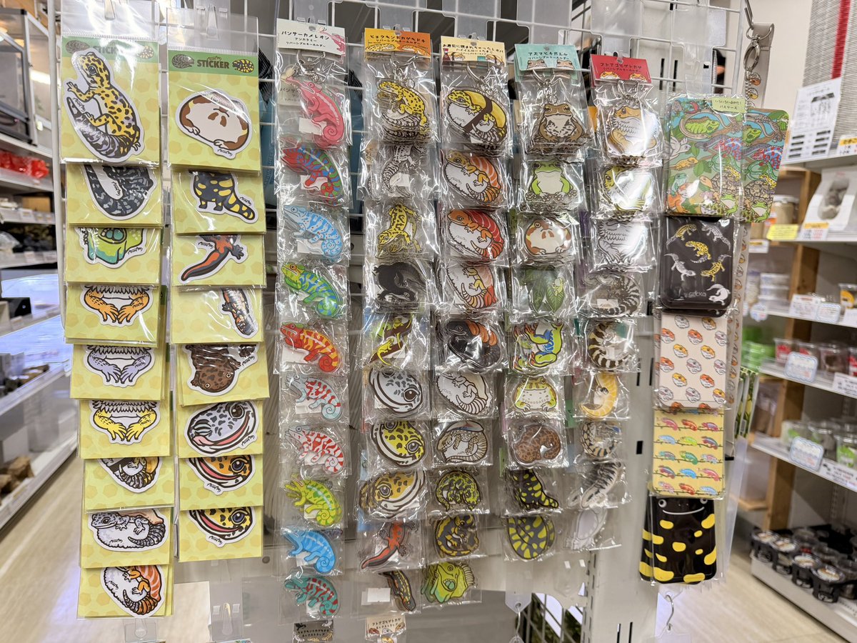 arimaru_shoten's tweet photo. 爬虫類倶楽部中野店さんにグッツたちドカーンと納品してきました🎁🦎
売り切れ多数でびっくり！ありがとうございます🫶
今回から🆕アクキーやパスケースなどもコーナーに仲間入りしてます
来週からはハチクラ30周年祭も始まるそうです🎊㊗️めでたい！
ご来店の際は是非！
#爬虫類倶楽部 #ハチクラ https://t.co/ykT1DQ0lCN