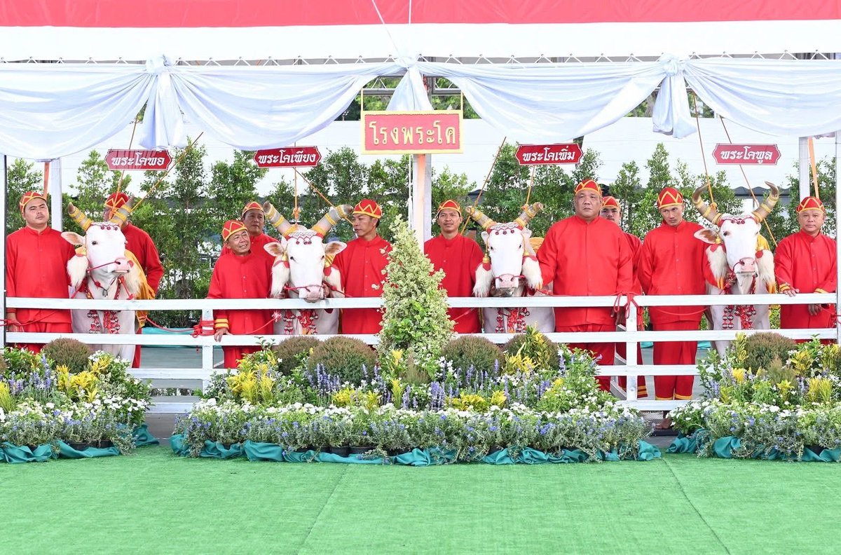 SBMB2020's tweet photo. วันที่ ๑๓ พฤษภาคม ๒๕๖๙  พระบาทสมเด็จพระเจ้าอยู่หัว และสมเด็จพระนางเจ้า ฯ พระบรมราชินี เสด็จพระราชดำเนินไปในการพระราชพิธีจรดพระนังคัลแรกนาขวัญ พุทธศักราช ๒๕๖๙  ณ มณฑลพิธีท้องสนามหลวง และเสด็จพระราชดำเนินไป ทอดพระเนตรพระยาแรกนาหว่านข้าว  ณ แปลงนาสาธิต สวนจิตรลดา พระราชวังดุสิต https://t.co/hqTGOj5F4A